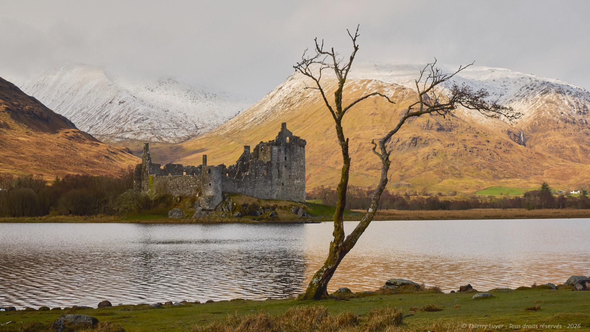 Leafless tree in foreground beside a stone castle by a lake, with snowy mountains behind.