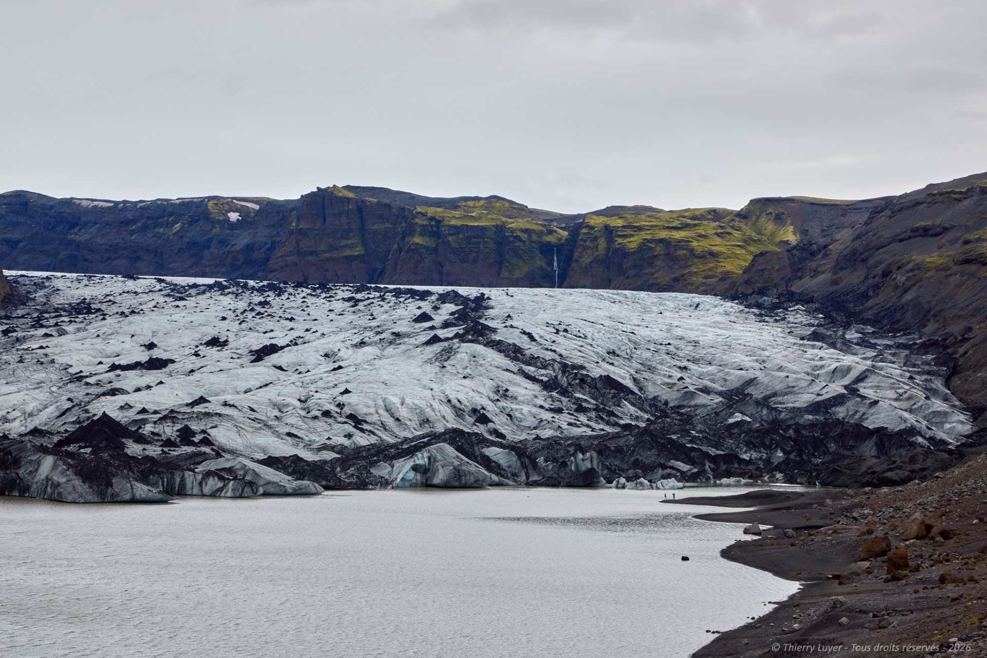 Glacier tongue flows into a calm fjord, surrounded by dark mountains under overcast sky.