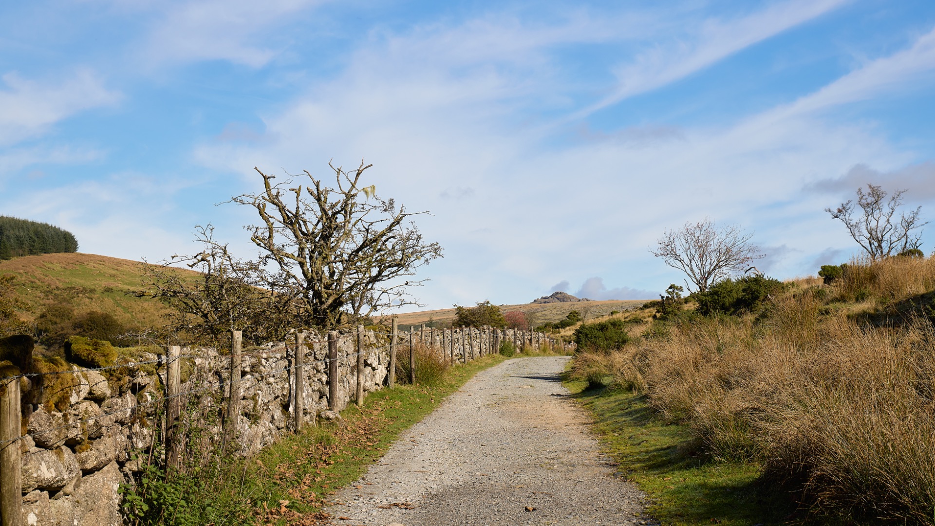 Chemin bordé de murets en pierre et clôture, collines verdoyantes sous ciel bleu nuageux.