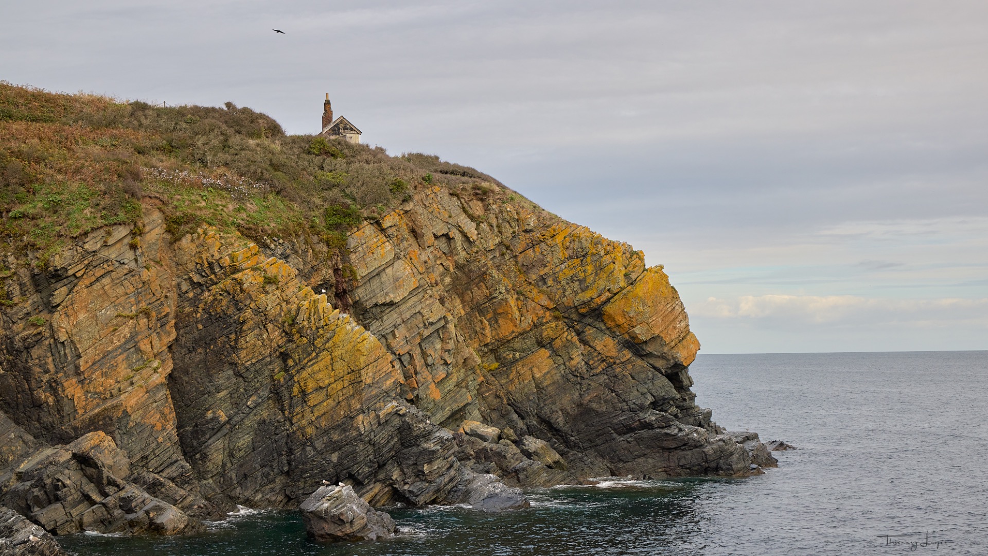 Falaises rocheuses côtières avec une petite chapelle au sommet, mer calme et oiseaux en vol.
